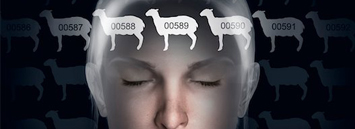 04FeelGreat_CountSheeps