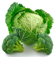 BFeNewsletter_200x194_Broccoli